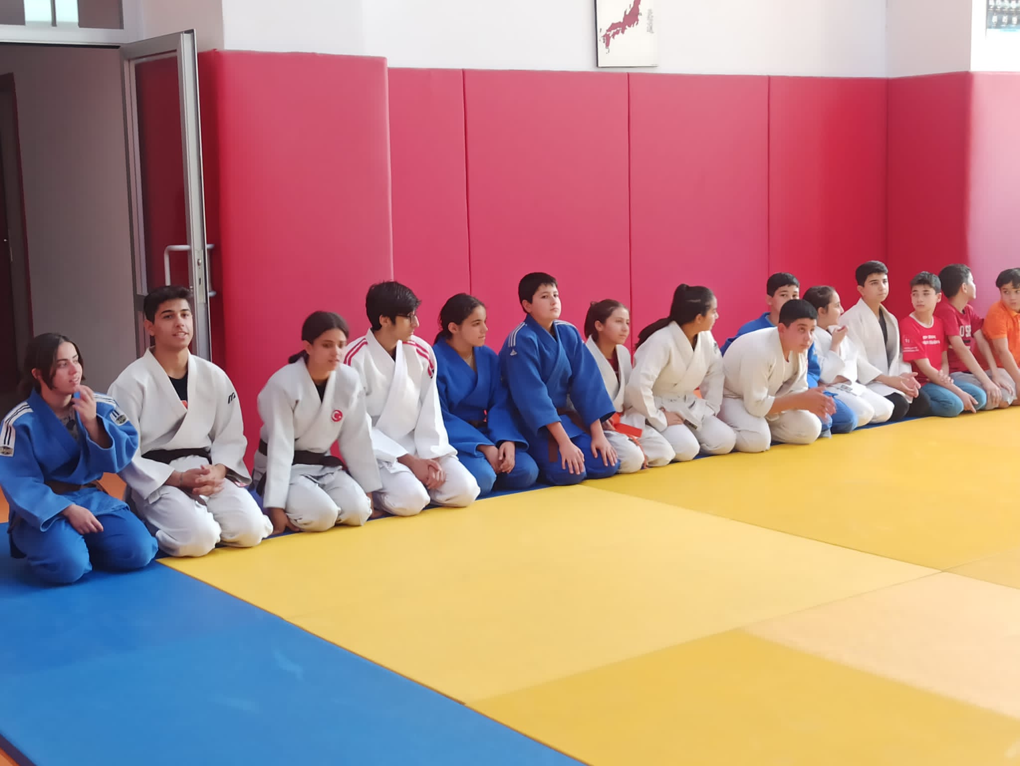 Judo for Peace